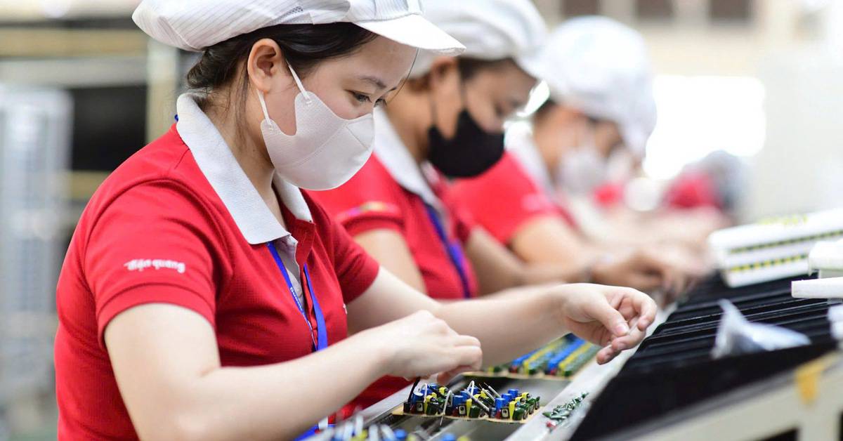 1,6 triệu thanh niên từ 15-24 tuổi không việc làm