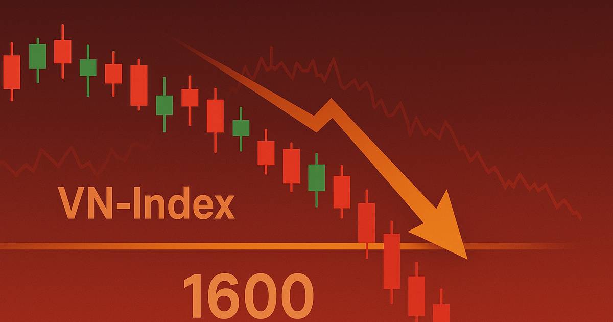 Nhận định chứng khoán 10 - 14/11: Thủng 1.600 điểm, 5 dòng kẻ nhận định gì?