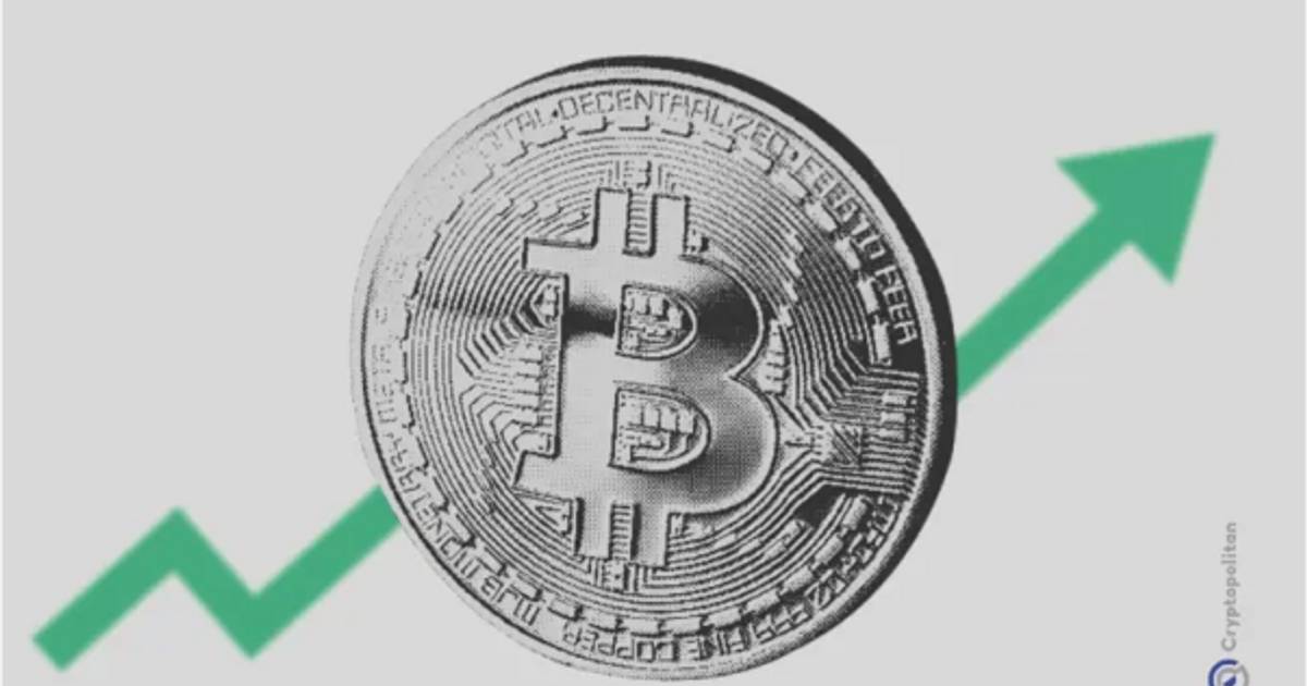 Tuần Bitcoin lao dốc 20%, giới phân tích cảnh báo cú rơi tiếp theo còn thảm khốc hơn