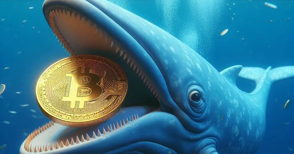 Bitcoin lao dốc, “cá voi” âm thầm gom hàng, nhỏ lẻ hoảng loạn bán tháo