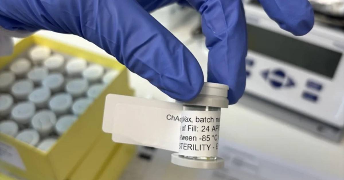 Sắp thử nghiệm lâm sàng vaccine điều trị bệnh ung thư khiến 24.000 người Việt mắc mỗi năm