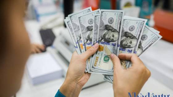 Tỷ giá biến động chủ yếu là do áp lực ngắn hạn