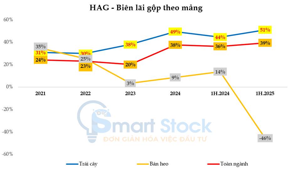 HAG "hồi sinh" xoá lỗ luỹ kế nhờ thực lực cùng cú bồi game tài chính