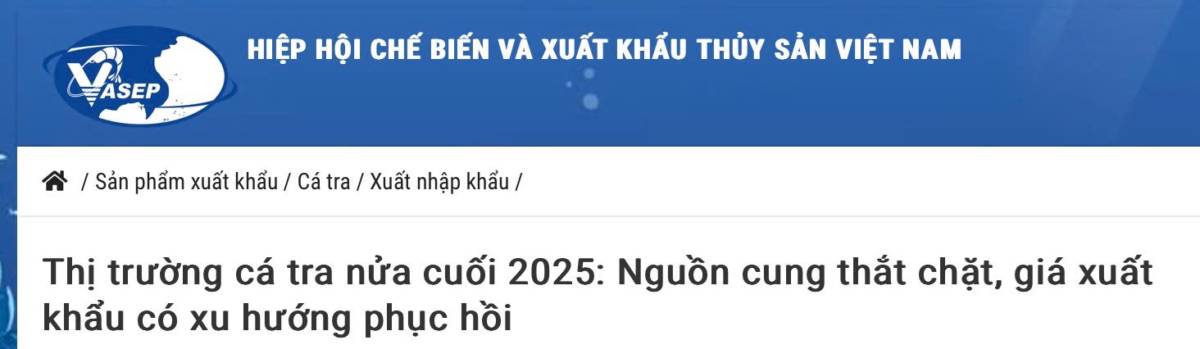 ANV bứt phá - VHC chật vật: Cuộc đua cá tra tăng tốc năm 2025