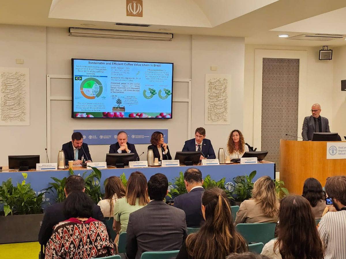 Brazil nêu bật các chỉ số bền vững tích cực của ngành trồng cà phê tại sự kiện của FAO. Cecafé có HDI  ...