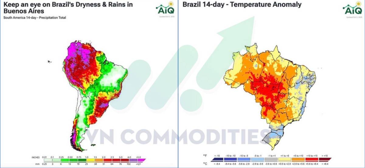Nông sản và nguyên liệu công nghiệp: Điểm bùng nổ hay rơi sâu hơn cuối năm 2025