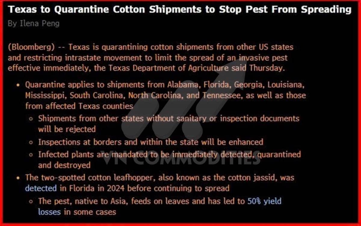 Nông sản và nguyên liệu công nghiệp: Điểm bùng nổ hay rơi sâu hơn cuối năm 2025