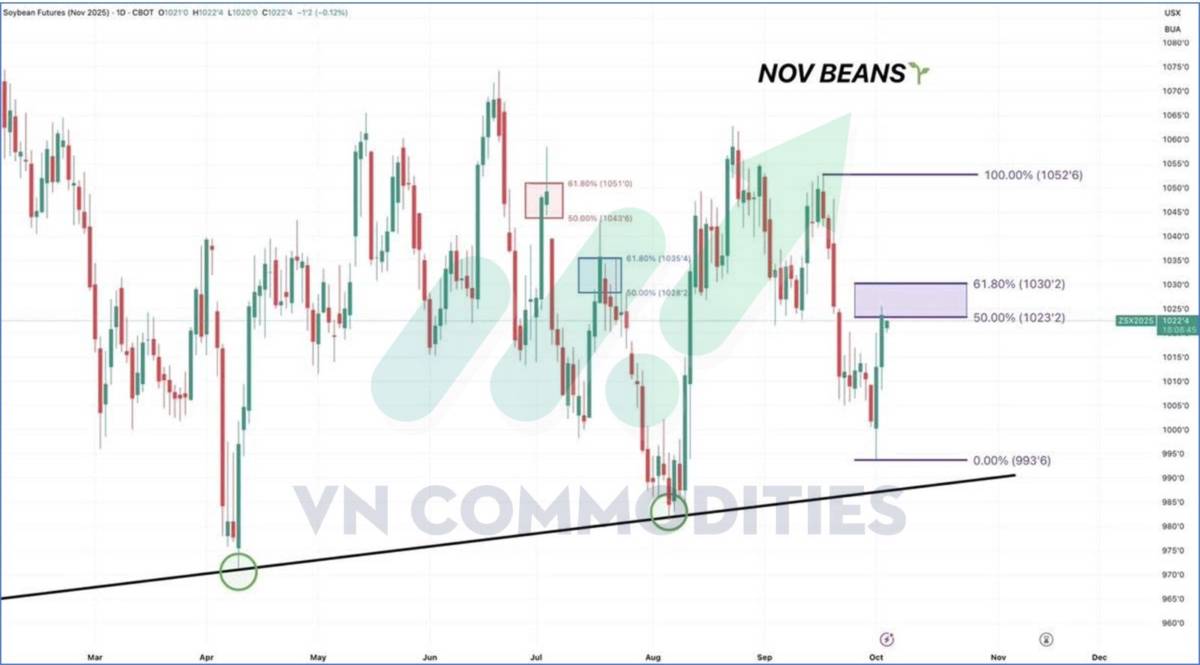 Nông sản và nguyên liệu công nghiệp: Điểm bùng nổ hay rơi sâu hơn cuối năm 2025