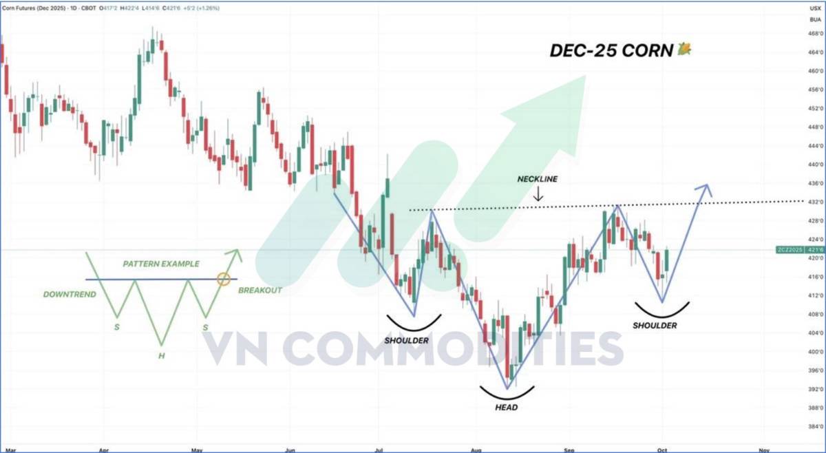 Nông sản và nguyên liệu công nghiệp: Điểm bùng nổ hay rơi sâu hơn cuối năm 2025
