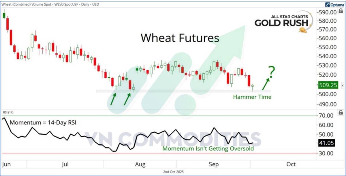 Nông sản và nguyên liệu công nghiệp: Điểm bùng nổ hay rơi sâu hơn cuối năm 2025