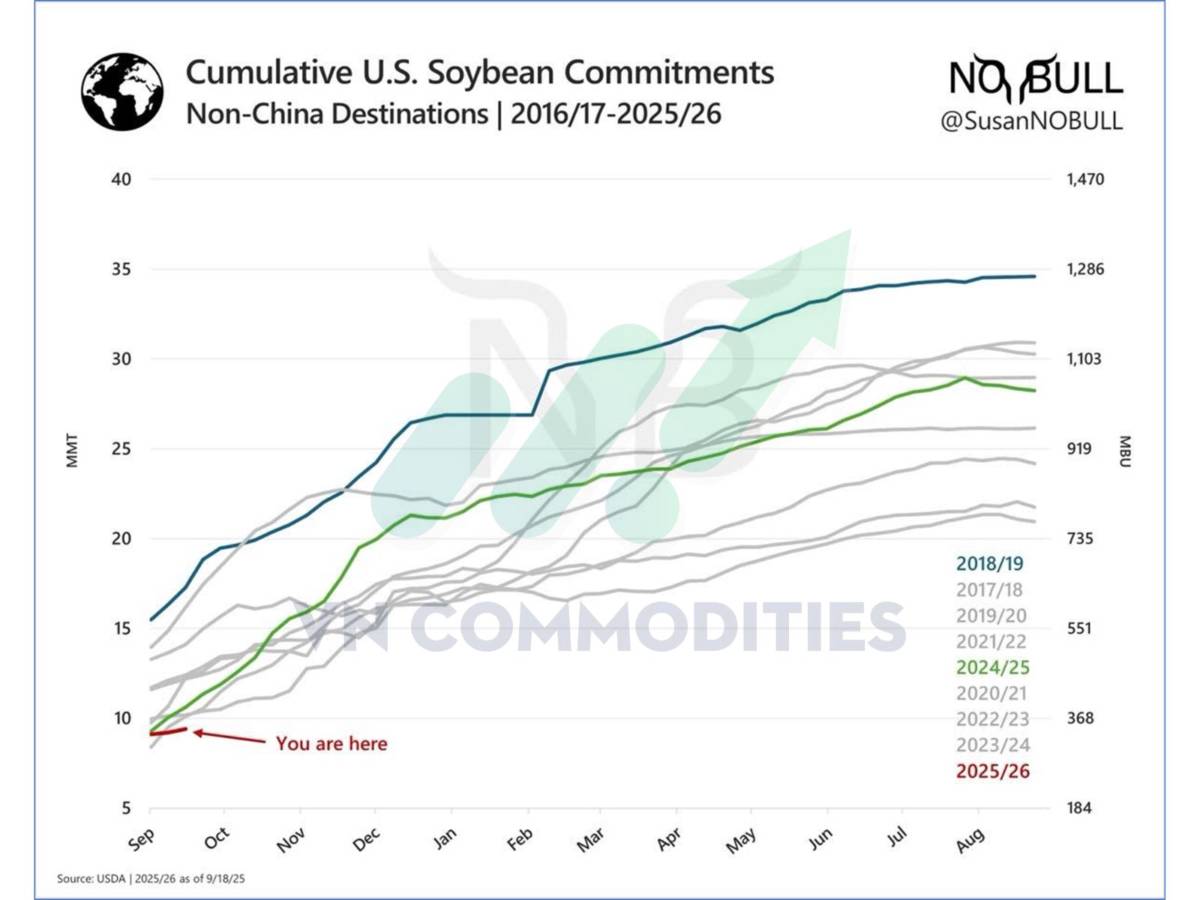 Nông sản và nguyên liệu công nghiệp: Điểm bùng nổ hay rơi sâu hơn cuối năm 2025