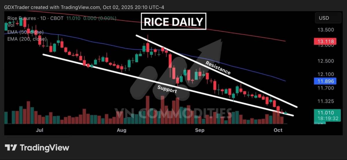 Nông sản và nguyên liệu công nghiệp: Điểm bùng nổ hay rơi sâu hơn cuối năm 2025
