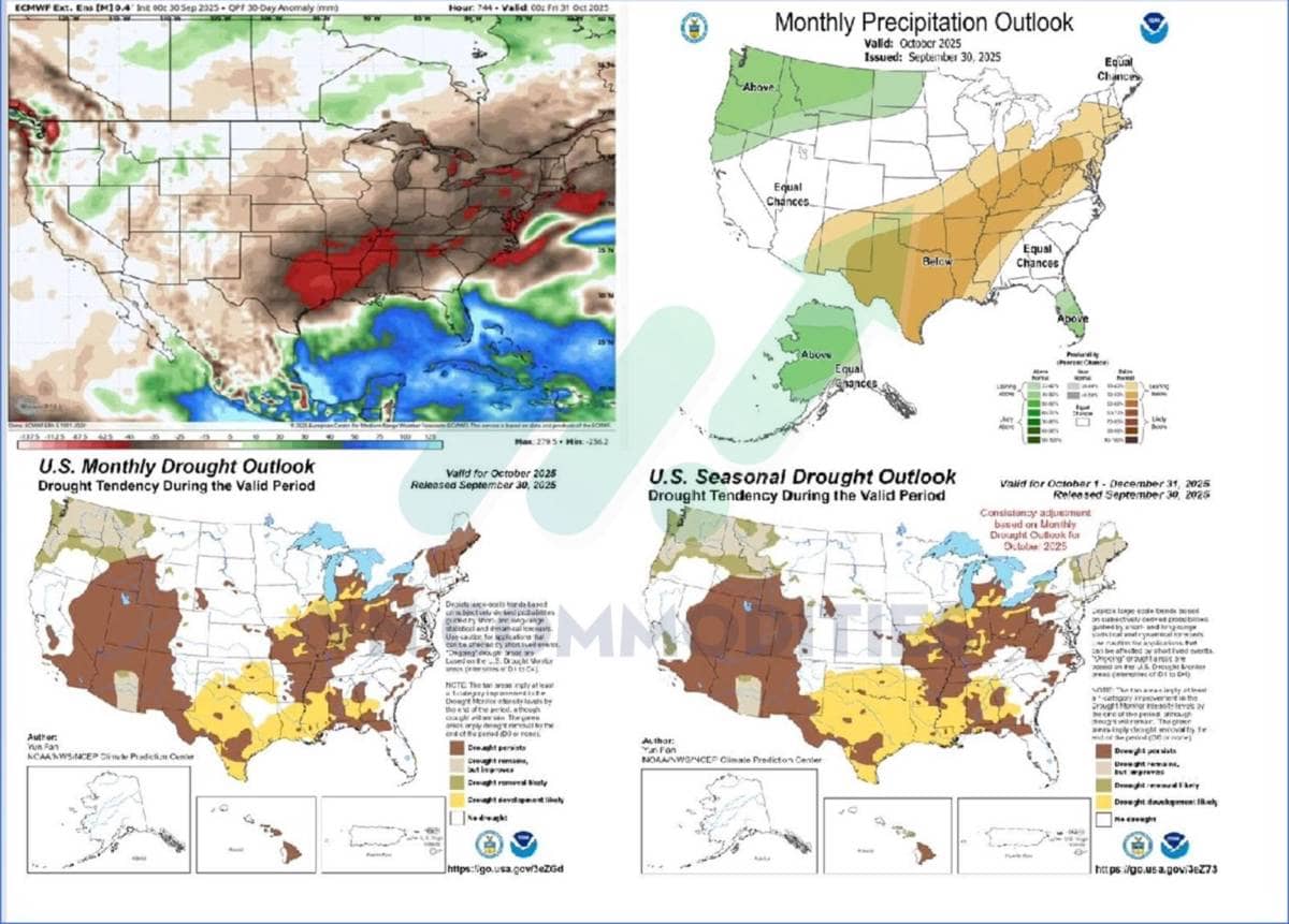 Nông sản và nguyên liệu công nghiệp: Điểm bùng nổ hay rơi sâu hơn cuối năm 2025