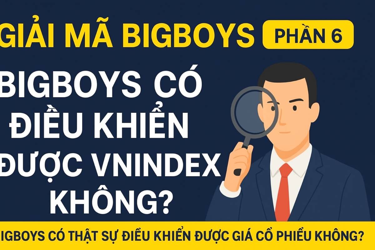 Giải mã Bigboys (Phần 6): Bigboys có điều khiển được Vnindex không?. Trong thị trường chứng khoán, nhiều  ...