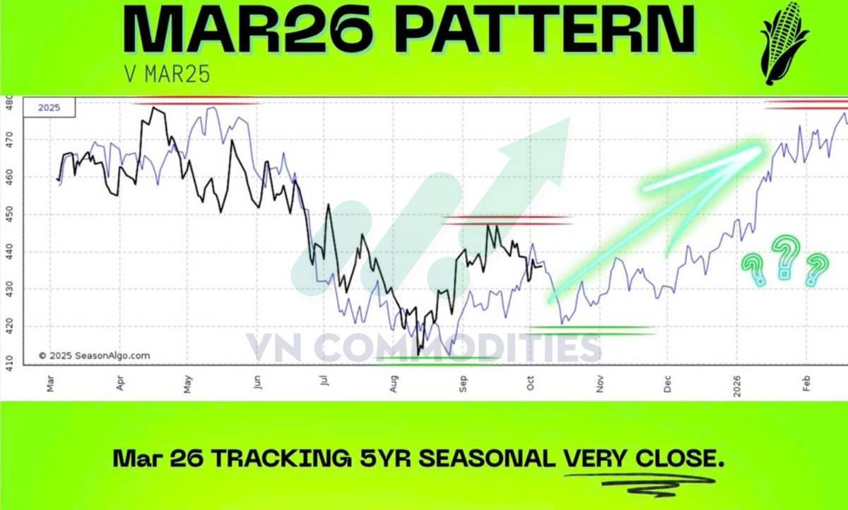 Thị trường nông sản Mỹ giằng co dữ liệu, chờ cú bẻ lái từ nhu cầu Trung Quốc