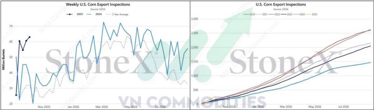 Thị trường nông sản Mỹ giằng co dữ liệu, chờ cú bẻ lái từ nhu cầu Trung Quốc