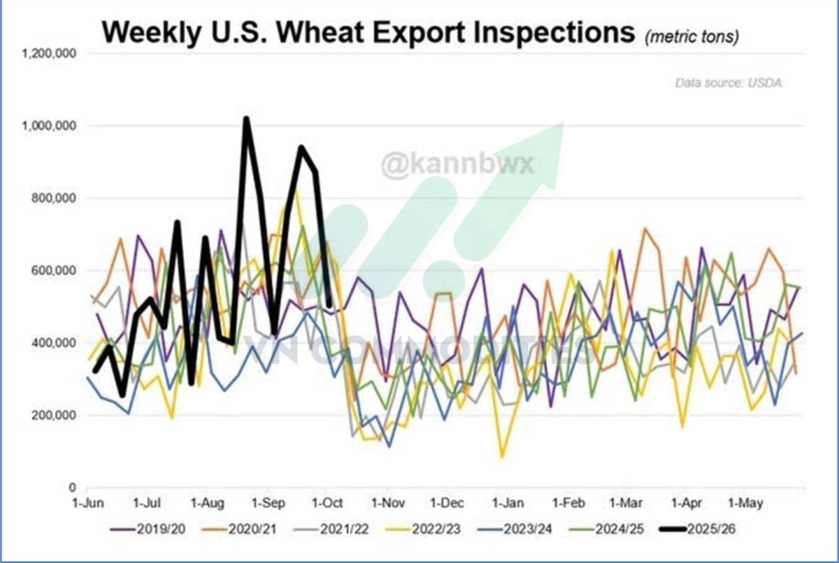 Thị trường nông sản Mỹ giằng co dữ liệu, chờ cú bẻ lái từ nhu cầu Trung Quốc
