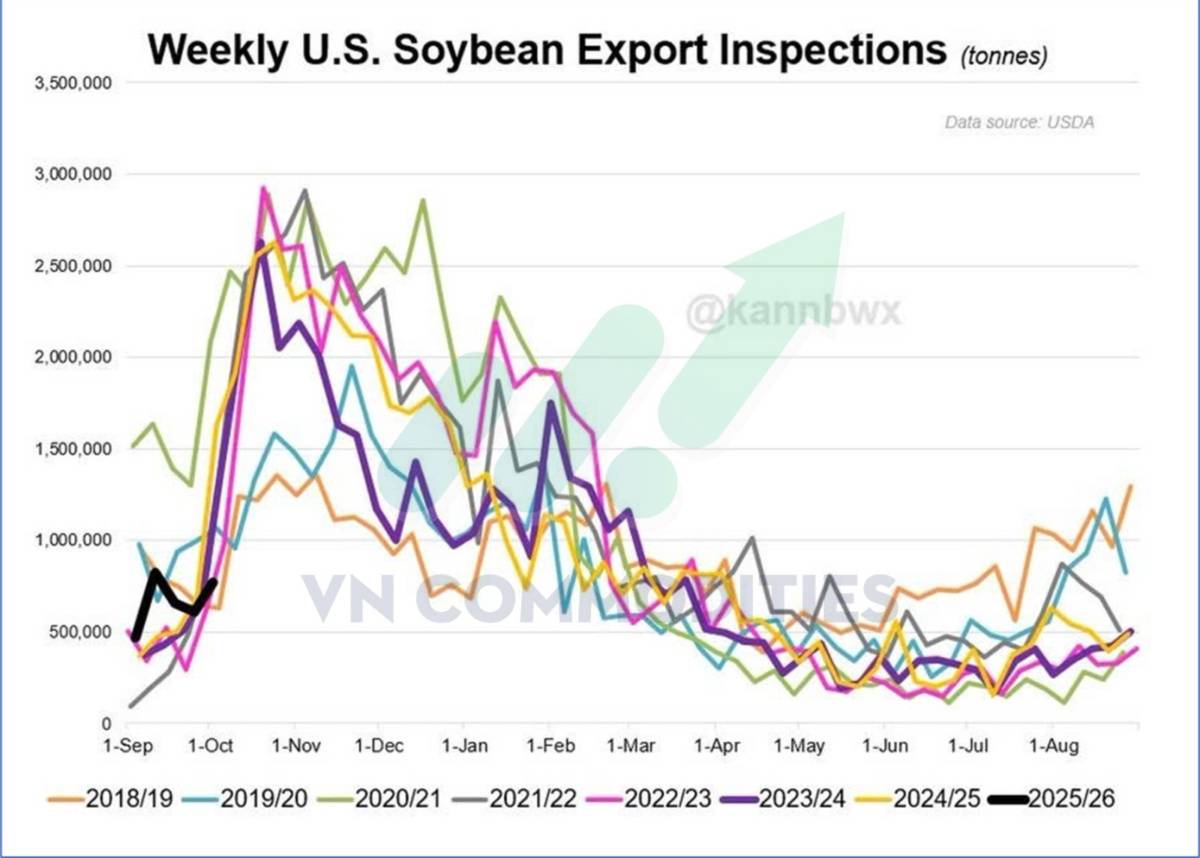 Thị trường nông sản Mỹ giằng co dữ liệu, chờ cú bẻ lái từ nhu cầu Trung Quốc
