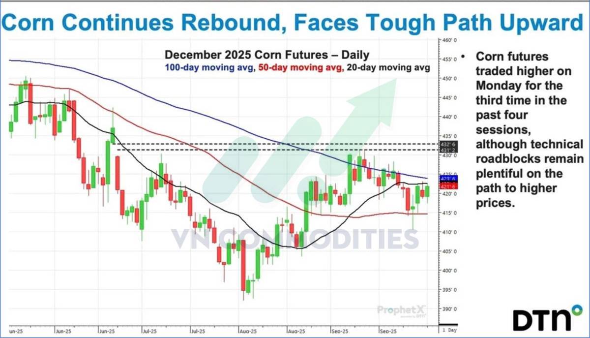 Thị trường nông sản Mỹ giằng co dữ liệu, chờ cú bẻ lái từ nhu cầu Trung Quốc