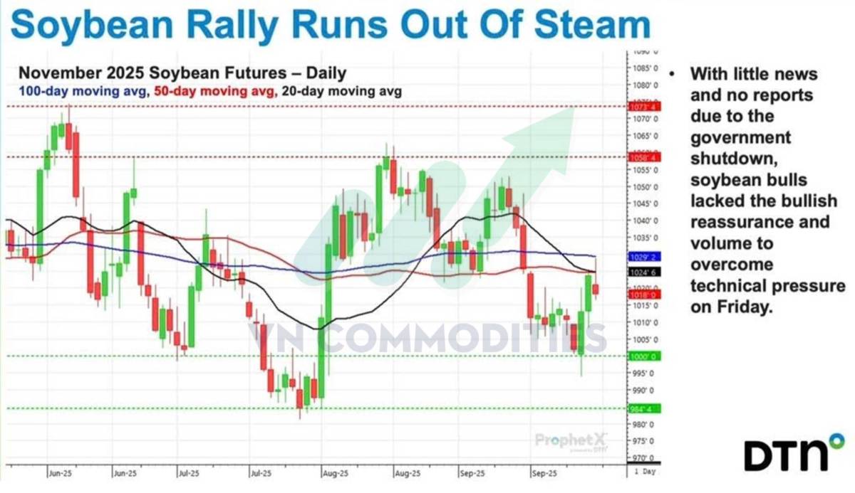 Thị trường nông sản Mỹ giằng co dữ liệu, chờ cú bẻ lái từ nhu cầu Trung Quốc