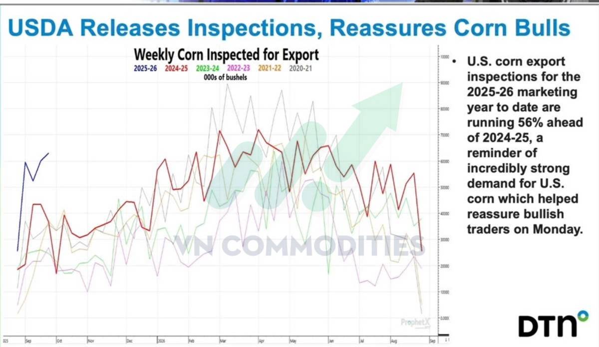 Thị trường nông sản Mỹ giằng co dữ liệu, chờ cú bẻ lái từ nhu cầu Trung Quốc