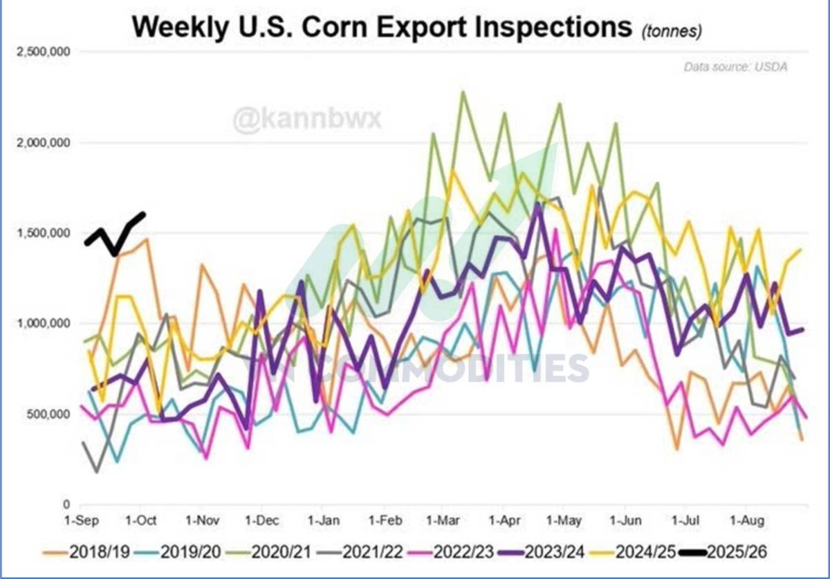 Thị trường nông sản Mỹ giằng co dữ liệu, chờ cú bẻ lái từ nhu cầu Trung Quốc