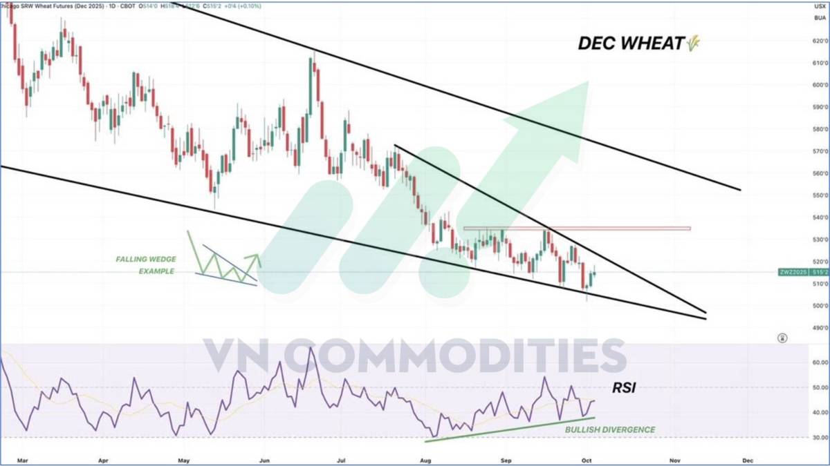 Thị trường nông sản Mỹ giằng co dữ liệu, chờ cú bẻ lái từ nhu cầu Trung Quốc