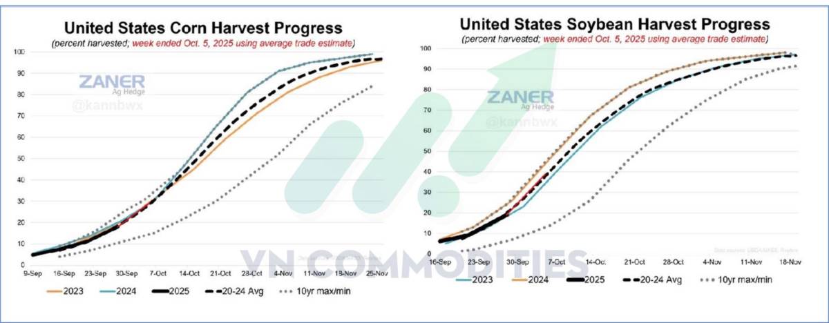 Thị trường nông sản Mỹ giằng co dữ liệu, chờ cú bẻ lái từ nhu cầu Trung Quốc