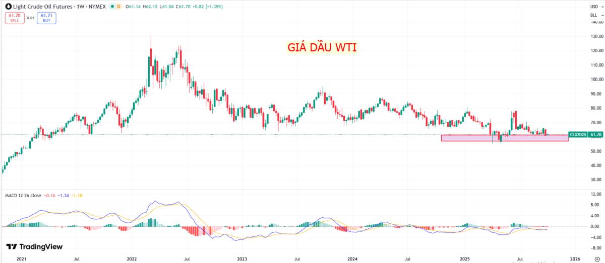 Triển vọng thị trường năng lượng toàn cầu: Nhu cầu dầu có thể đạt đỉnh trong nửa cuối thập kỷ này?