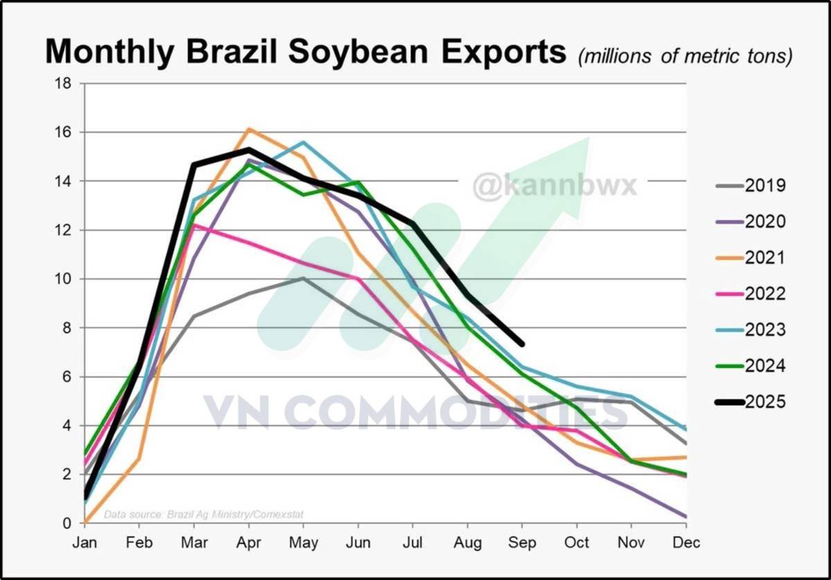 Thị trường nông sản Mỹ giằng co dữ liệu, chờ cú bẻ lái từ nhu cầu Trung Quốc