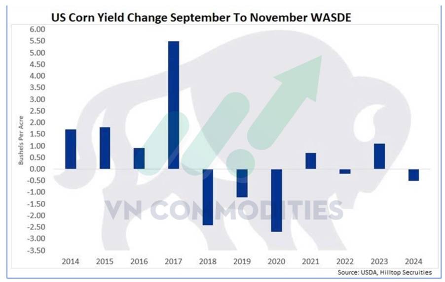 Ngô – Áp Lực Nguồn Cung Vẫn Lớn, Giá Dễ Điều Chỉnh Ngắn Hạn Trước Báo Cáo WASDE