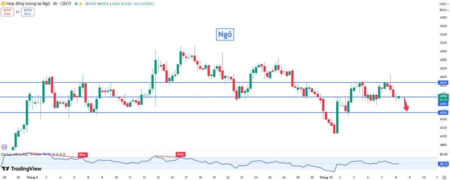 Ngô – Áp Lực Nguồn Cung Vẫn Lớn, Giá Dễ Điều Chỉnh Ngắn Hạn Trước Báo Cáo WASDE