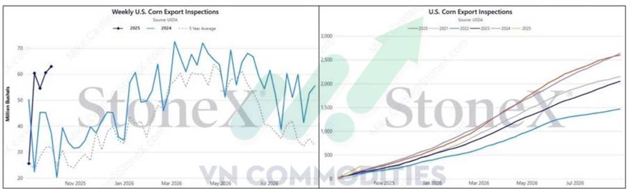 Ngô – Áp Lực Nguồn Cung Vẫn Lớn, Giá Dễ Điều Chỉnh Ngắn Hạn Trước Báo Cáo WASDE