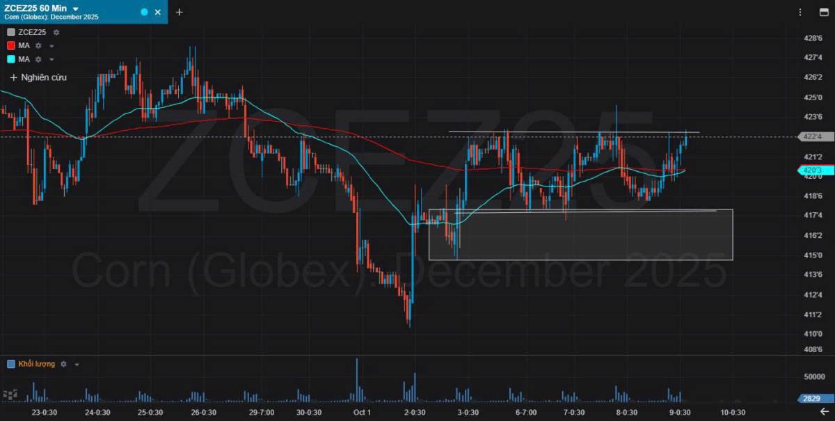 Bản Tin Nhóm Nông Sản Ngày 09/10/2025