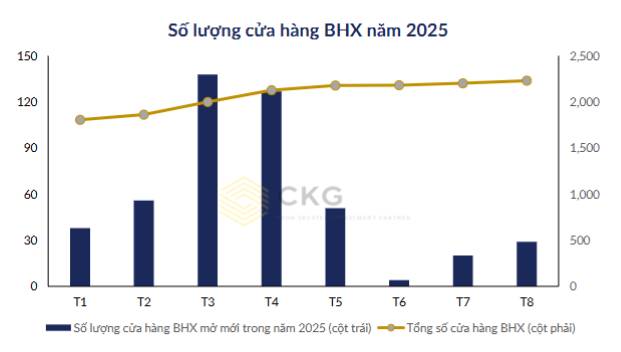 MWG - Gã khổng lồ bán lẻ thức dậy!