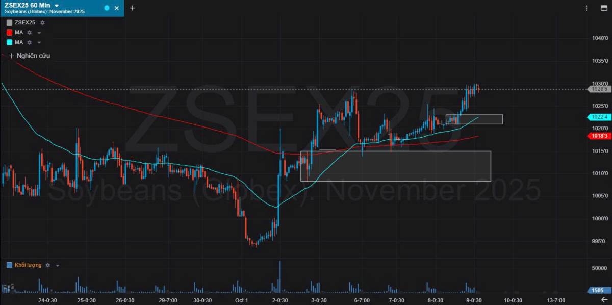 Bản Tin Nhóm Nông Sản Ngày 09/10/2025