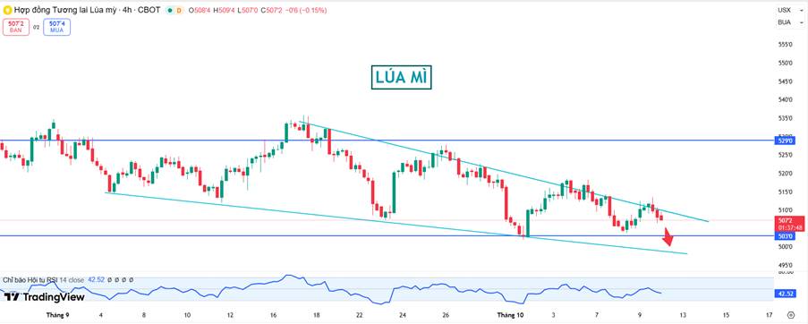 Lúa Mì: Áp Lực Cung Vẫn Đè Nặng – Giá Duy Trì Trong Kênh Giảm, Rủi Ro Chưa Qua