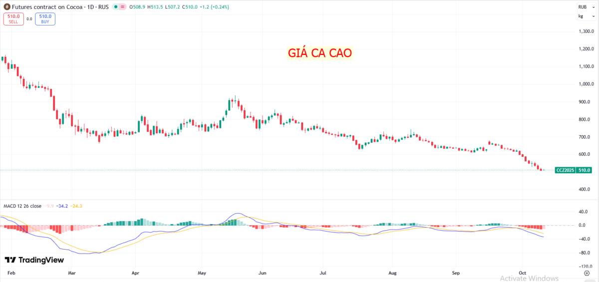 Thị trường hàng hóa "mềm" biến động mạnh: Giá ca cao lao dốc, nhà đầu tư chuyển hướng sang nông sản chủ lực