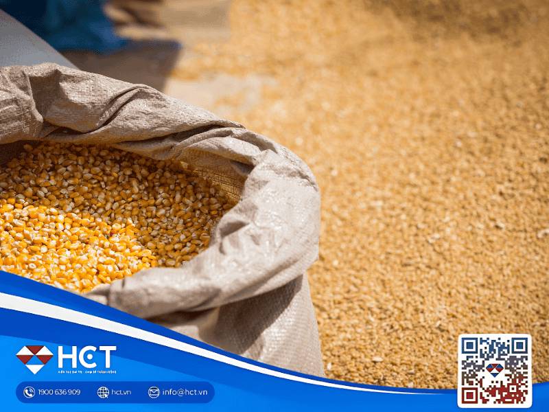 Tổng quan nông sản 13/10: Lúa mì giảm sâu, đậu tương và ngô tiếp tục suy yếu