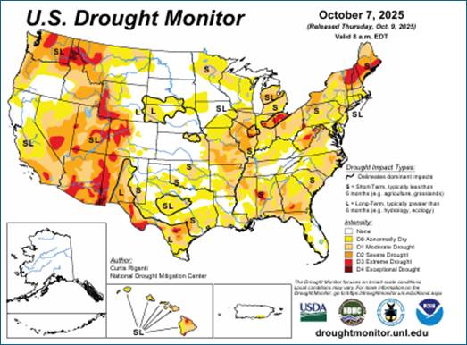 Thị trường háng hóa Bình minh trước cơn bão khi kinh tế Mỹ chững lại và rủi ro lan tỏa toàn cầu