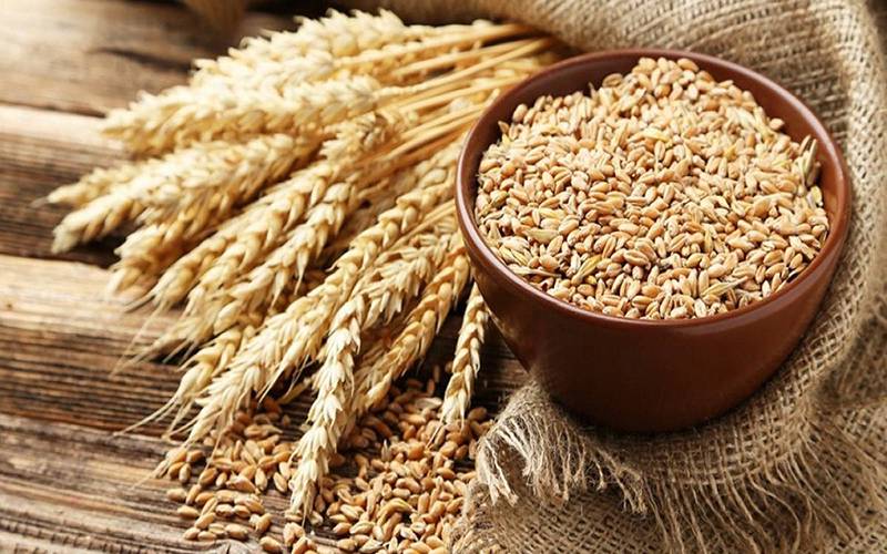 Phân tích thị trường ngũ cốc tuần này (13–18/10)