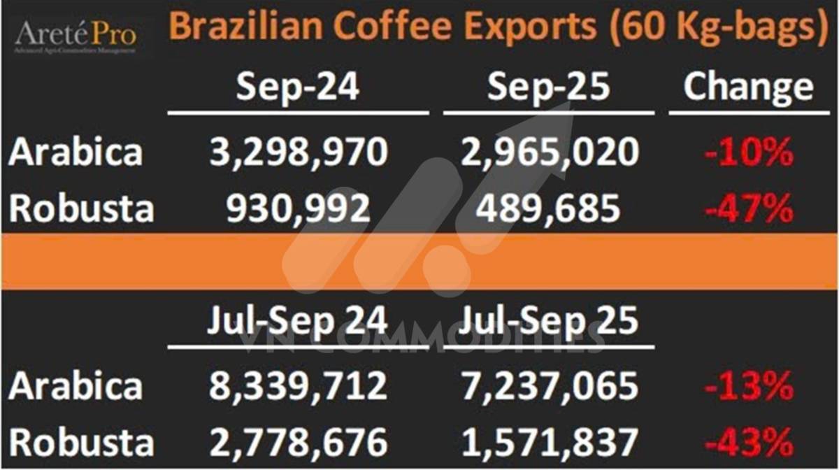 Căng thẳng Mỹ – Trung và USD mạnh khiến nông sản lao dốc, Brazil chiếm ưu thế xuất khẩu