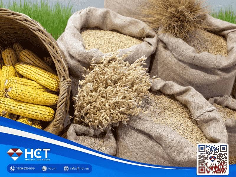 Tổng quan nông sản 14/10: Lúa mì giảm giá, đậu tương lập kỷ lục nhập khẩu, ngô Mỹ thu hoạch...