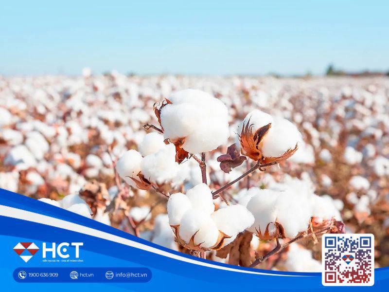 Thị trường nguyên liệu công nghiệp ngày 14/10: Giá bông giằng co, triển vọng dư cung gây áp lực lên...