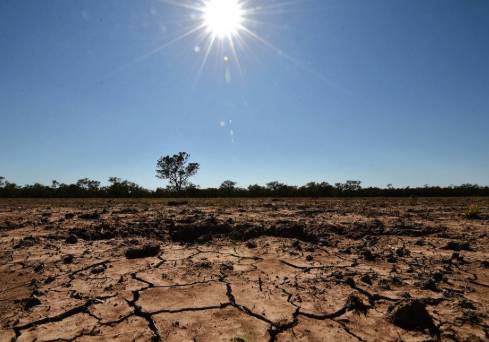 Giá cà phê 14/10: Khô hạn đe dọa vụ mùa tại Brazil, mưa lan rộng tại nhiều quốc gia sản xuất