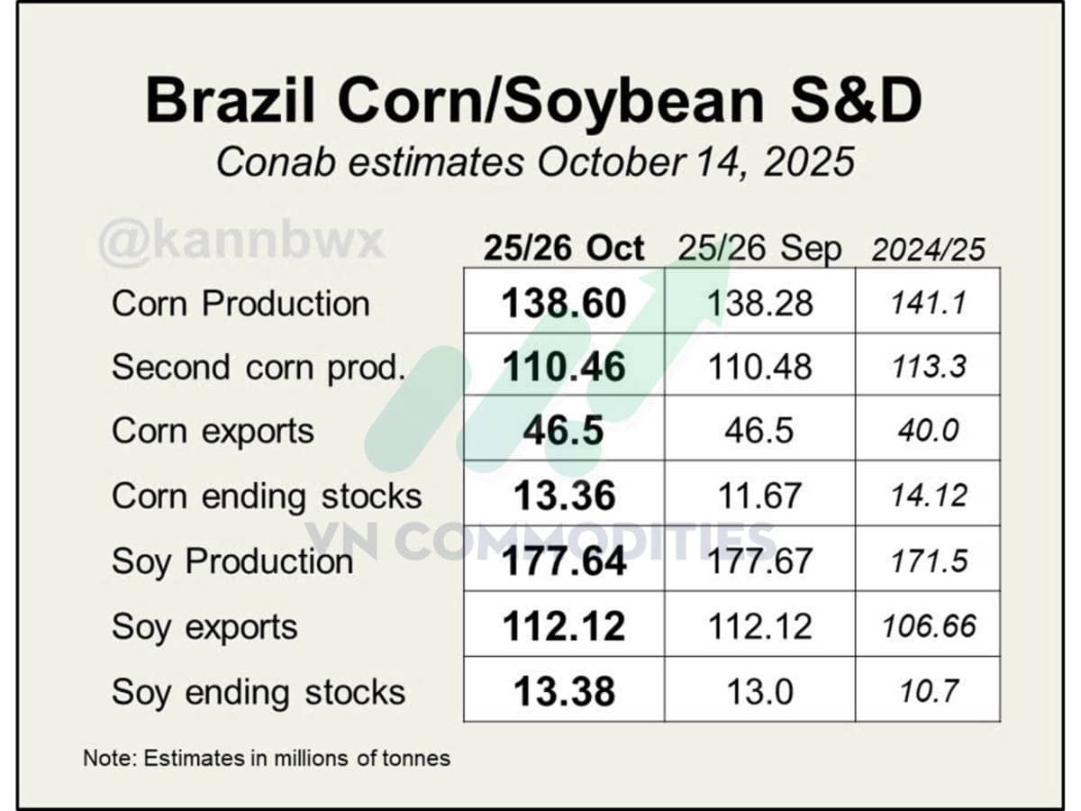 Ngô Mỹ tiến sát kỷ lục mới – Ca cao và cà phê bước vào vùng cân bằng vàng