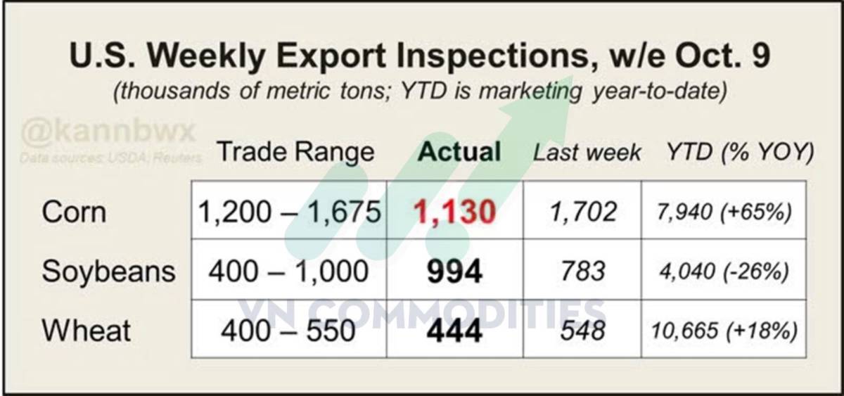 Ngô Mỹ tiến sát kỷ lục mới – Ca cao và cà phê bước vào vùng cân bằng vàng
