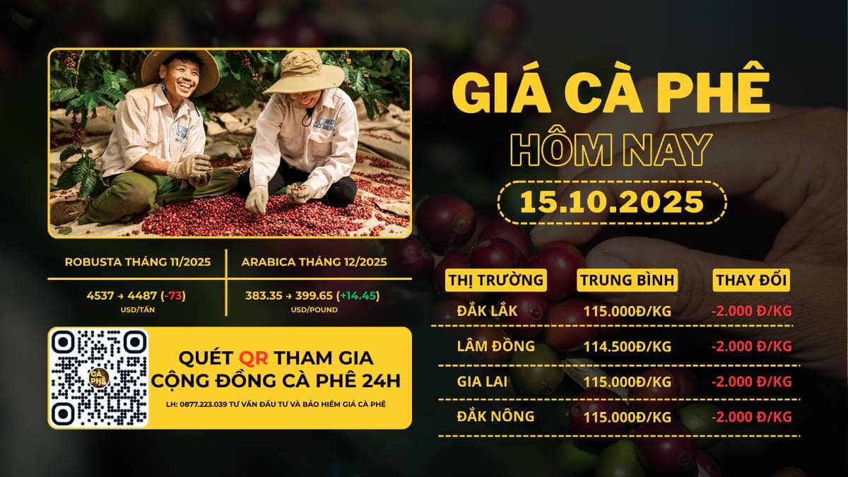 THỜI SỰ THỊ TRƯỜNG: CÀ PHÊ CHIA HAI NGẢ TRƯỚC LO NGẠI THỜI TIẾT VÀ TỒN KHO THẤP!. Giá cà phê Arabica  ...