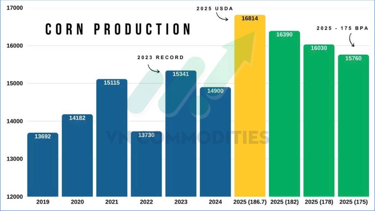 Ngô Mỹ tiến sát kỷ lục mới – Ca cao và cà phê bước vào vùng cân bằng vàng