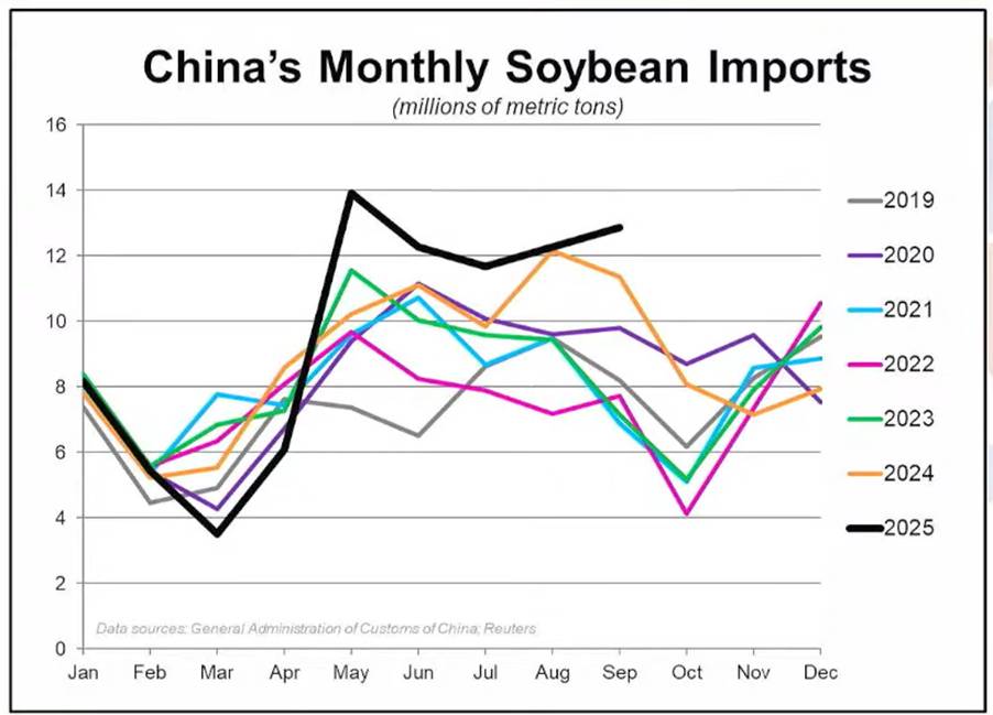 Đậu Tương: Tín Hiệu Hồi Phục Gần Vùng Hỗ Trợ Quan Trọng